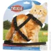 Trixie    13  4196