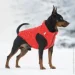 Trixie      2550