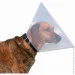 Trixie    , , 28-3312.5  (137746)