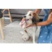 Trixie        30  (2940)