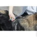 Trixie         ,  , 3,5 /18  (136978)