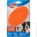 Trixie   913  2336