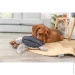 Trixie    BE NORDIC   /  34 (4011905360621)