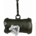 Trixie         M 15 /.