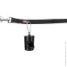 Trixie         M 220 /.