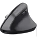  Trust Bayo + Ergonomic Black (25146)