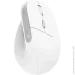  Trust Bayo II Ergon White (25398)