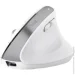  Trust Bayo+ Mouse white (25399)