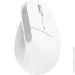  Trust Bayo+ Mouse white (25399)