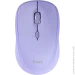  Trust YVI+ Compact Multi-Purple (25583)