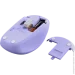  Trust YVI+ Compact Multi-Purple (25583)