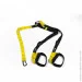   TRX  Suspension Trainer (P1)