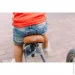  Trybike      (TBS-2-GRY+ TBS-99-TK) (TBS-3-GRY)