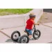  Trybike      (TBS-2-GRY+ TBS-99-TK) (TBS-3-GRY)