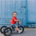  Trybike      (TBS-2-GRY+ TBS-99-TK) (TBS-3-GRY)