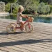  Trybike      (TBS-2-PNK-VIN+ TBS-100-TKV) (TBS-3-PNK-VIN)