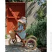  Trybike      TBS-2-RED-VIN+ TBS-100-TKV (TBS-3-RED-VIN)