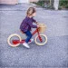  Trybike   ( ) (TBS-2-RED-VIN)