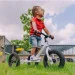  Trybike      (TBS-2-WHT+ TBS-99-TK) (TBS-3-WHT)