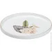 Ts Kitchen    6   Rose,  (HP23414)