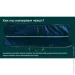 TTX     Protect AR  100  (11781)
