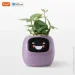 Умный горшок без растения Tuya Умный интерактивный горшок для растений Ivy Smart Planter AI, Purple (2501359647) Умный горшок без растения Tuya Умный интерактивный горшок для растений Ivy Smart Planter AI, Purple (2501359647)