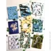   Ubumblebees " - " :  " (083)