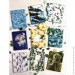 Ubumblebees '   " " (083) PSF083  