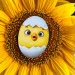   Ubumblebees  - "" (163) PSD163  