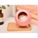 ͳ     UFT SCH01 Pink    (UFTSCH01Pink)