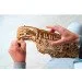  Ugears - (70030)