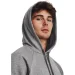 Under Armour   1379768-025 .L 