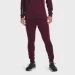   Under Armour Terry Pants (1366265-600-S)