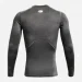 Under Armour Ƴ  UA HG Armour Comp LS ѳ L (1361524-090 L)