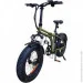  Vega Joy Fat-2 Green