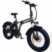  Vega Joy Fat-2 Green