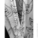 Velvet House  FAN CATS-1 300270  -