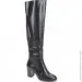 Veritas Shoes    Veritas .36  (011363-36)