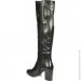 Veritas Shoes    Veritas .36  (011363-36)
