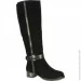 Veritas Shoes    Veritas .36  (011533-36)
