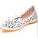 Veritas Shoes    Veritas .36  (089055-36)
