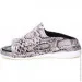 Veritas Shoes    Veritas .37  (069783-37)
