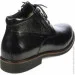 Veritas Shoes    Veritas .39  (2829-39)