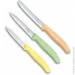    Victorinox SwissClassic Paring Set 3 .(6.7116.34L2)