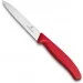   Victorinox Swiss Classic Paring 100,  (6.7731)