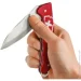 Victorinox Evoke Alox,  (0.9415.D20)