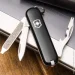 Victorinox ͳ Rally Black (1049-Vx06163.3)
