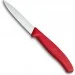    Victorinox Swiss Classic 3 . (6.7111.31)