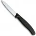    Victorinox Swiss Classic 3 . (6.7113.31)
