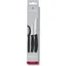    Victorinox Swiss Classic 3 . (6.7113.31)